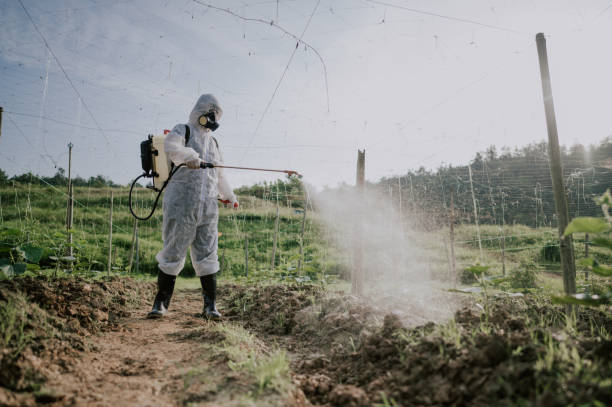Best Pest Removal Services  in Ladd, IL