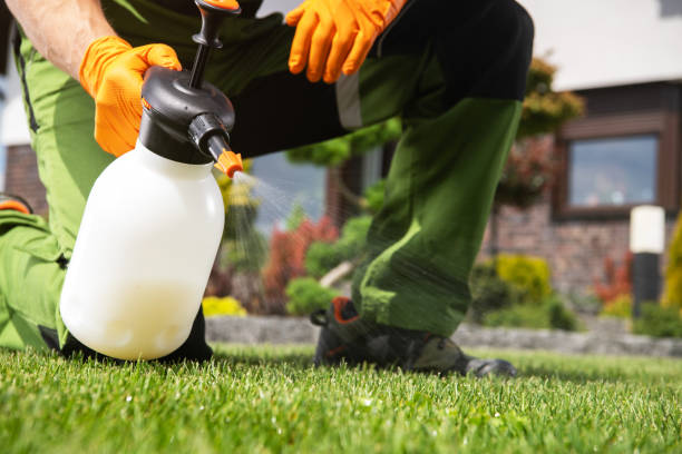 Best Best Pest Control Companies  in Ladd, IL