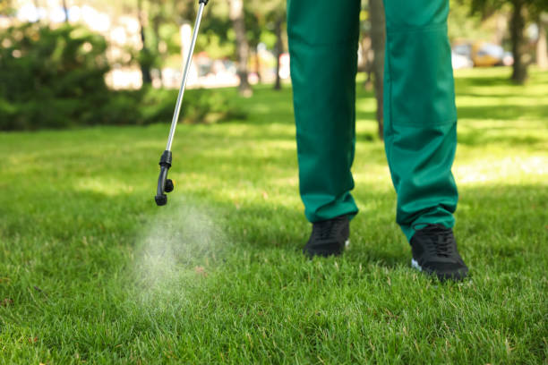 Best Mosquito Control Services  in Ladd, IL