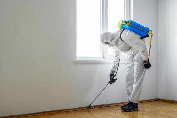 Best Best Pest Control Companies  in Ladd, IL