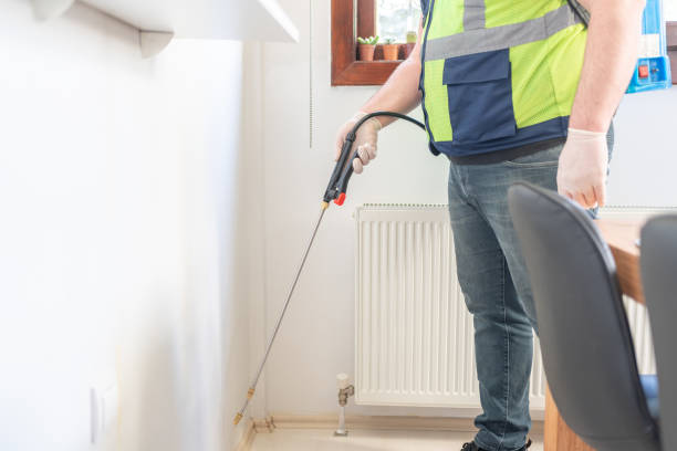 Best Local Pest Control Services  in Ladd, IL