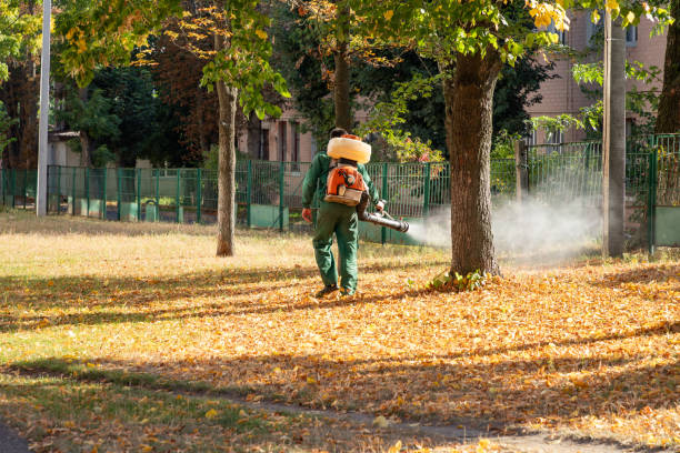 Best Wasp Removal Services  in Ladd, IL