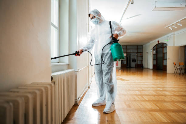 Best Pest Control for Restaurants  in Ladd, IL